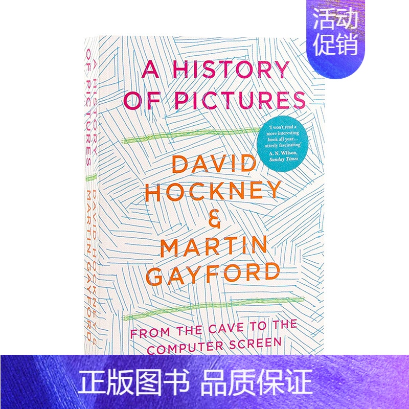 [正版]图片史英文艺术总论历史理论评论进口原版外版书平装A History of Pictures: From th