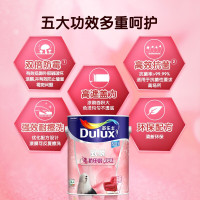 多乐士(Dulux)致悦竹炭抗甲醛净味5合1 油漆涂料 内墙乳胶漆 墙面漆A8146+A749套装15L