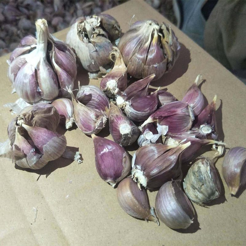 博多客叶菜类报价_参数_图片_视频_怎么样_问答-苏宁易购