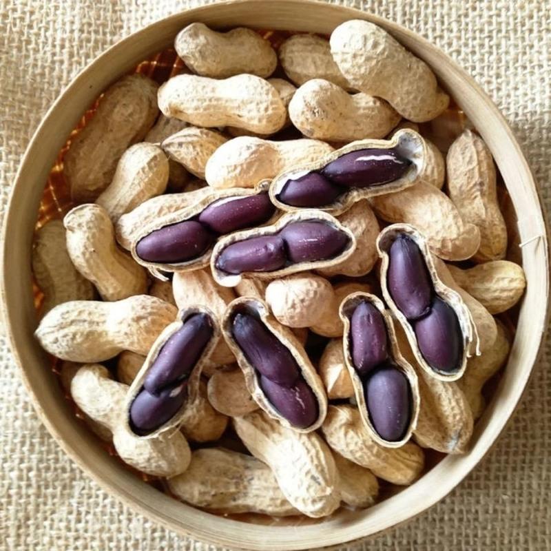 富硒带壳黑花生生熟可选黑珍珠紫皮花生农家自种黑花生米种子参数