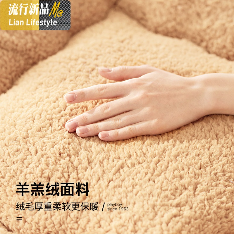 羊羔绒床垫软垫冬季毛绒加厚保暖1.5m家用厚学生宿舍单人床褥垫子 三维工匠高清大图