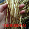 新鲜茅根 毛毛根毛草根茅根甜草根勾结金银花甜茅根 500g去皮白茅根+10g金银花