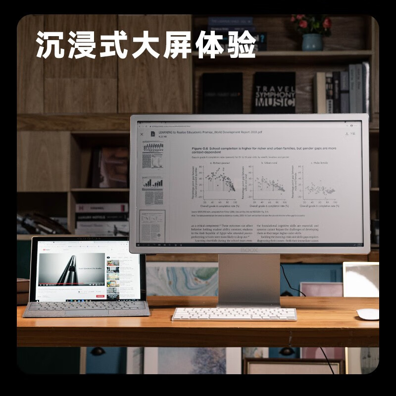 BOOX文石 Mira Pro 25.3英寸电子墨水屏显示器显示屏 智能办公大屏电子纸电纸书电子笔记本 前光版本