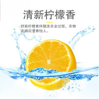雕牌增白皂242g*2*3