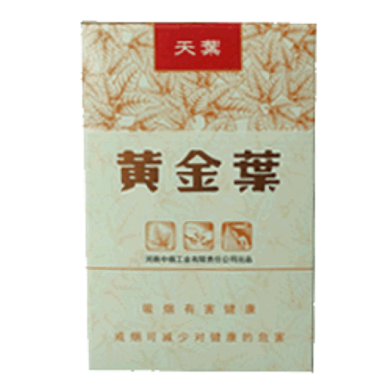 黄金叶(天叶)