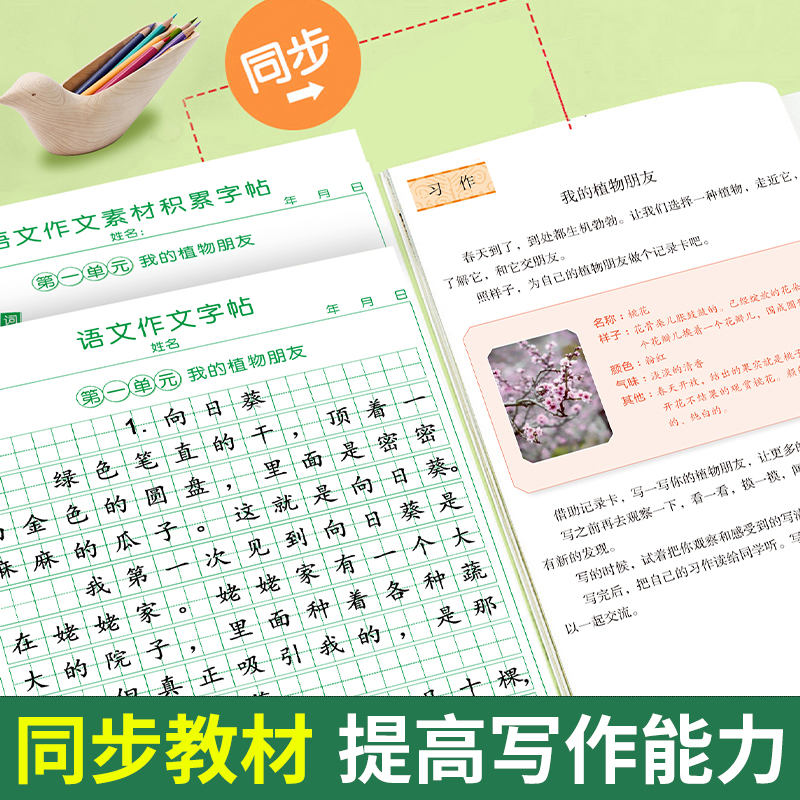 [三下2本]同步练字帖+同步作文字帖 [正版]三年级下册同步作文练字帖语文满分作文人教版2025字帖小学生每日一练语文素高清大图