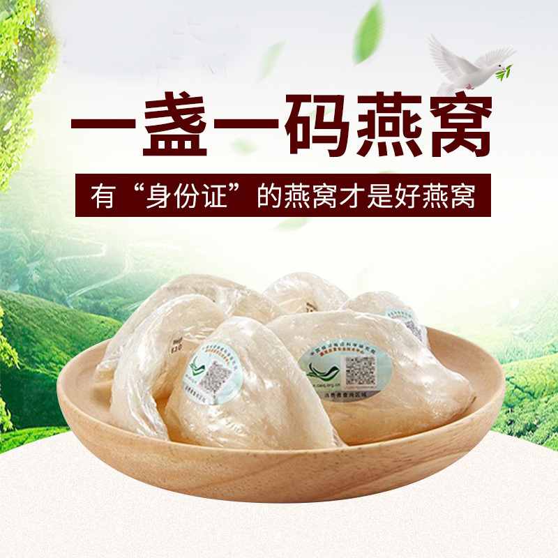 燕天使 马来西亚进口 一盏一码燕窝50g装 正品白燕盏金丝燕滋补品礼盒装