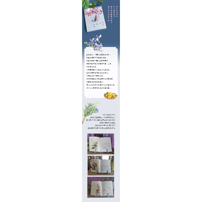 诺森身边的四季赵敔9787508543680五洲传播出版社高清大图