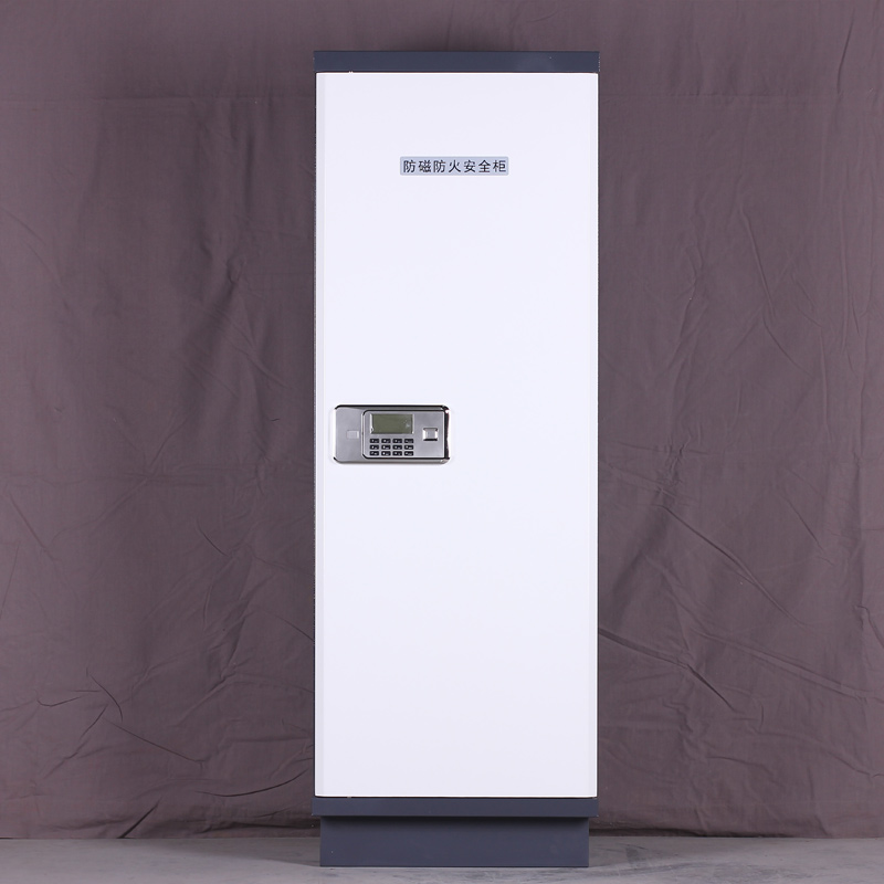 臻远 ZY4102116防磁柜CD光盘柜磁盘柜U盘柜信息安全柜储存柜 小9抽电子锁高清大图