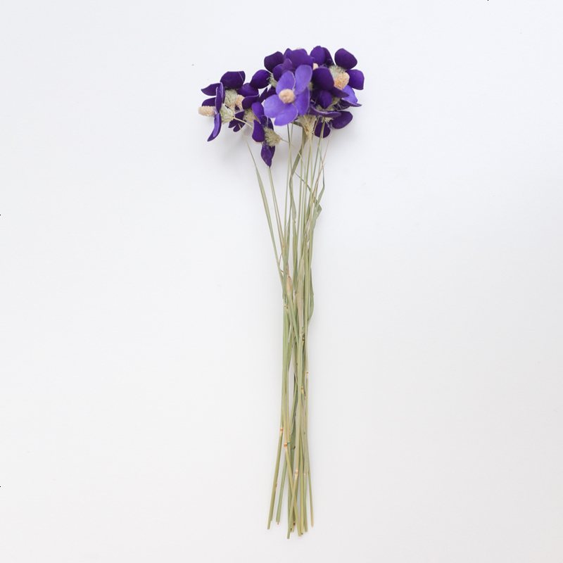 紫罗兰干花花束北欧风装饰干花花束家居摆设干花diy干花混合式深紫一