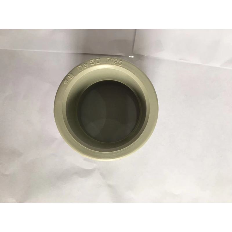 常通(CT)PPR给水用管套dn50