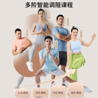 舒华(SHUA)家用椭圆机客厅型椭圆仪小户型踏步机健身器材太空漫步机E369