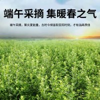 艾草经络锤手持敲打养生锤按摩锤艾灸锤艾草养生锤33±1cm(颜色随机)