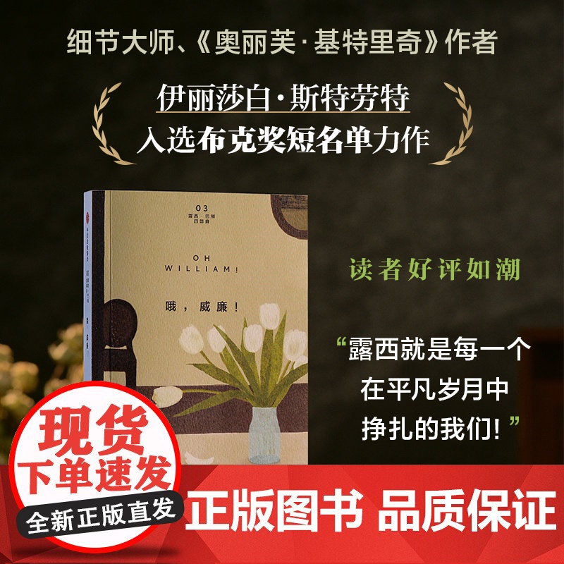 哦 威廉 伊丽莎白 斯特劳特著 直面亲密关系 长篇小说 一个女人的婚姻 隐瞒与自我 中信出版社图书 正版