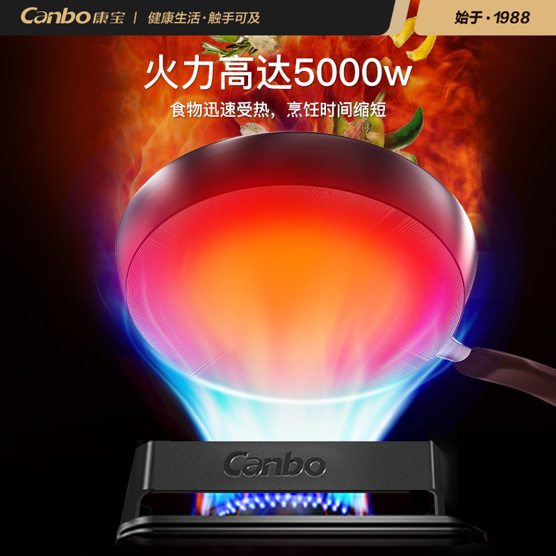 康宝(Canbo)5KW燃气灶天然气 煤气炉双灶台 嵌入式台式家用 防爆钢化玻璃大火力炉灶具 JZT-2QB520