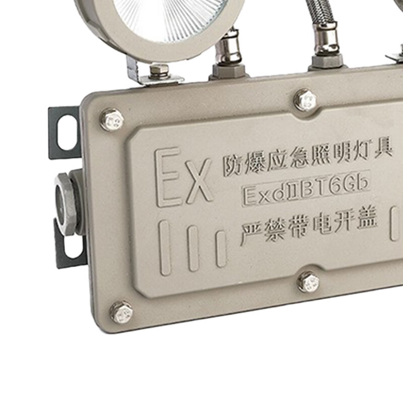 陇步昇 RF-ZFZC -E18W-ZZ1 4W 5000K 应急照明时间*=90min LED 应急灯 (计价单位:盏