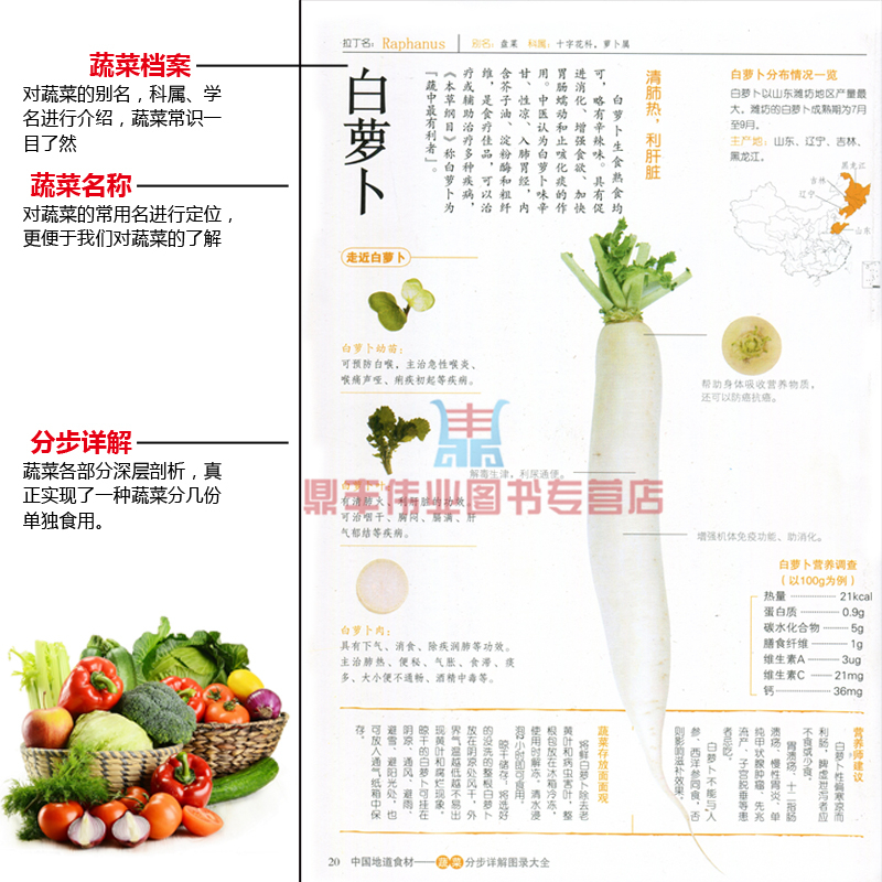 [醉染正版]套装2册 中国地道食材大全:蔬菜分步详解图录大全+水果分步详解图录大全 全套2册 家庭养生保健健康营养饮食食