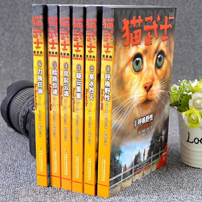 (礼箱装)猫武士1-7部曲全套42册 [正版]猫武士全套42册第七部曲首部曲一二三四五六7八部曲外传传奇的猫族 中小学生高清大图
