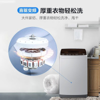 海尔(Haier)洗衣机全自动波轮8公斤大容量直驱变频节能 一键启动操作XQB80-BZ1269