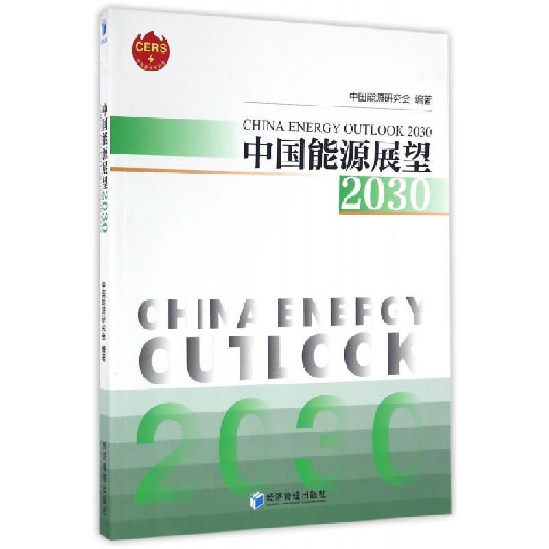 正版新书】中国能源展望2030中国能源研究会9787509643297