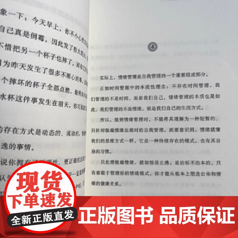 做一个内核稳定的成年人 风墟 每个厉害的人 都有个笃定的核 内核稳了 人生就顺了 修炼稳定内核 做个平静的狠人 正版书籍高清大图