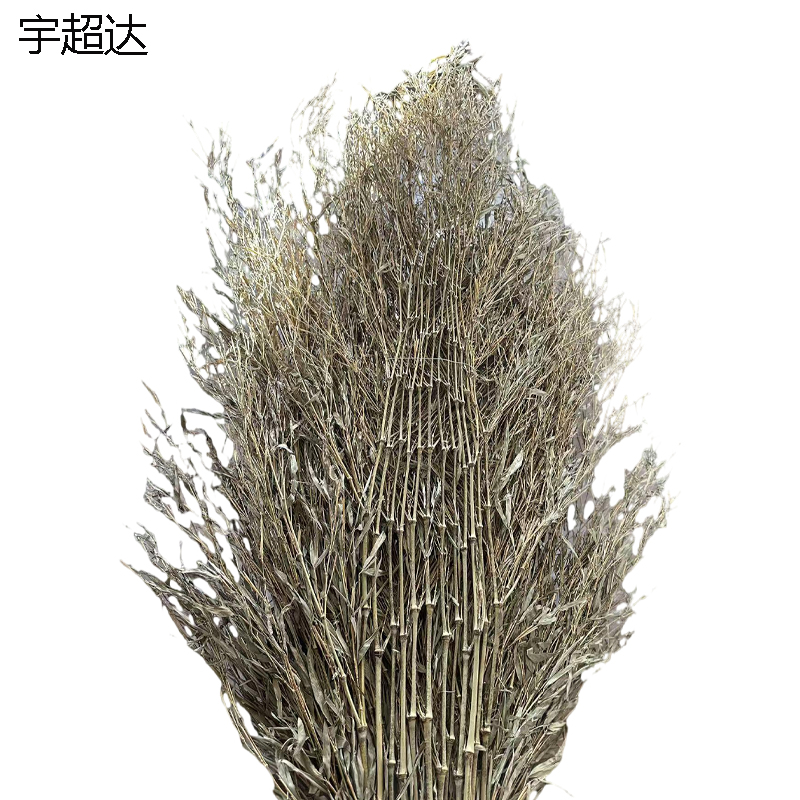 宇超达 扫帚 大号 个高清大图