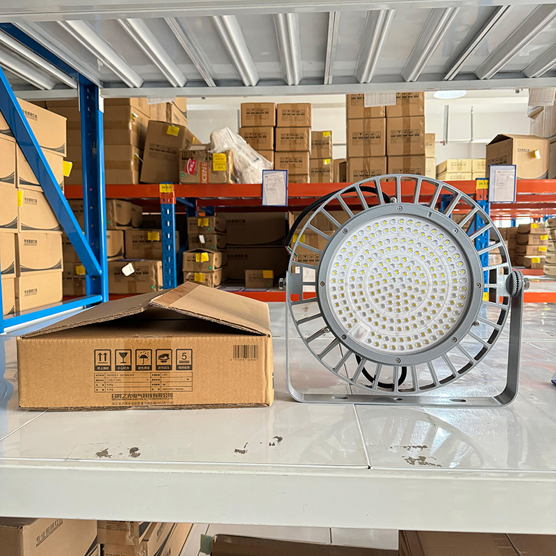 RECEN RGFL230-100W 固定式LED灯具 个高清大图
