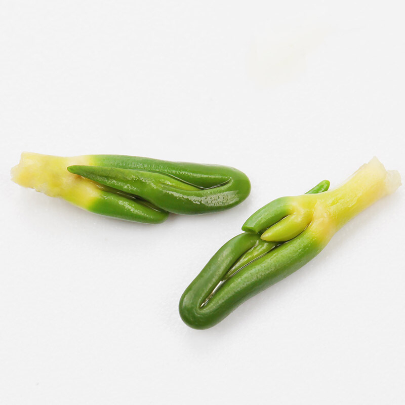 吉得利 莲子芯 天然连子莲芯心茶新鲜 100g
