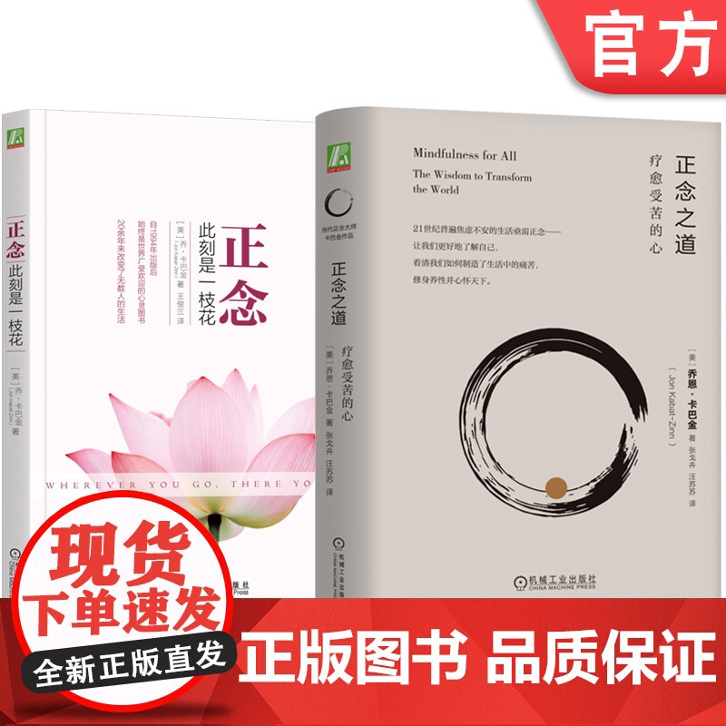 套装 正念 此刻是一枝花+正念之道 套装全2册 乔卡巴金 心理学 阐明正念冥想精髓人生哲学通俗读物 正知正念正能量 机械
