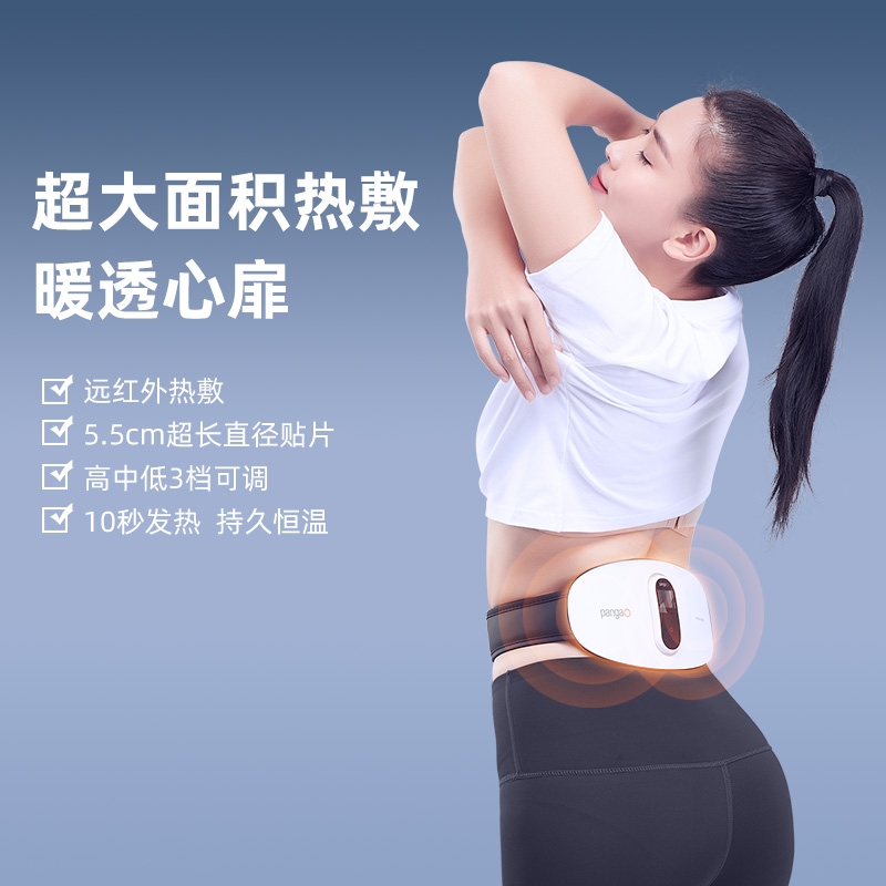 攀高PANGAO智能腰腹部按摩仪按摩器PG-2645L(中频)高清大图