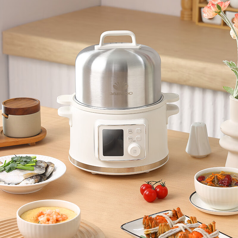 大宇(DAEWOO)电蒸锅小型2L家用不锈钢炖汤蒸蛋多功能炖蒸煮锅 电炖锅DYLL-2R36/莫兰迪绿/彩邮外!