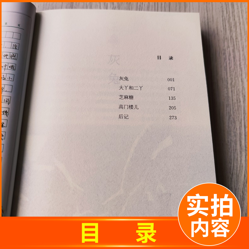 [正版]2024春海门好书伴我成长系列六年级6年级寒假下册学校阅读书目 童眸 黄蓓佳倾情小说江苏凤凰少年儿童出版社 青高清大图