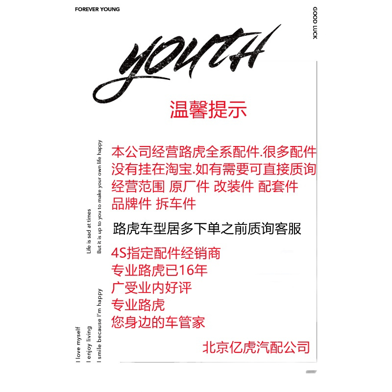 正时套件 路虎正时套装 极光 神行者2正时链条涨紧器进排气齿轮2.0捷豹XFXJ
