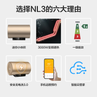 美的（Midea）60升家用储水式热水器F6030-NL3 3000W双管速热 一级能效 节能省电 8年保修 精致小体积