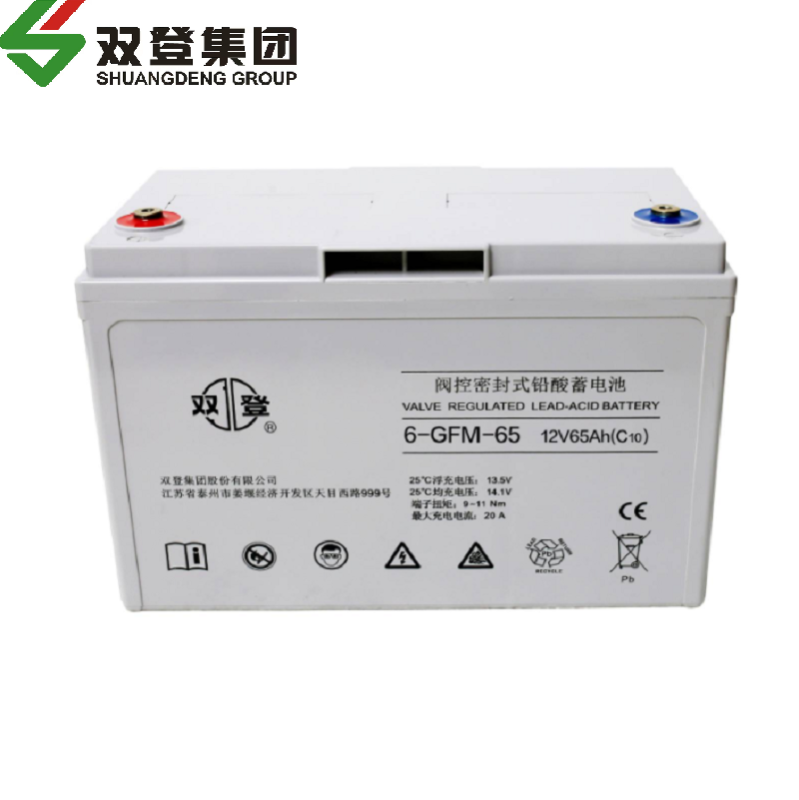 双登蓄电池6-GFM-40高清大图