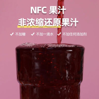 版纳雨林nfc纯果汁葡萄汁原汁1L*2 新疆夏黑普通 非浓缩无添加剂饮料