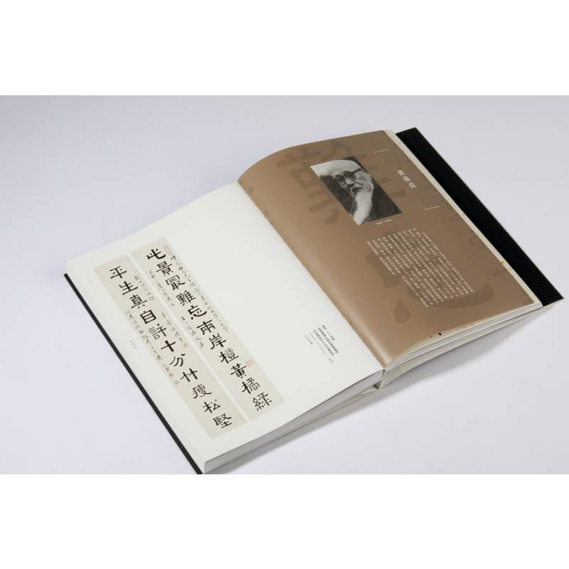 醉染图书百川入海 二十世纪海上代表书家作品萃编9787547927618高清大图