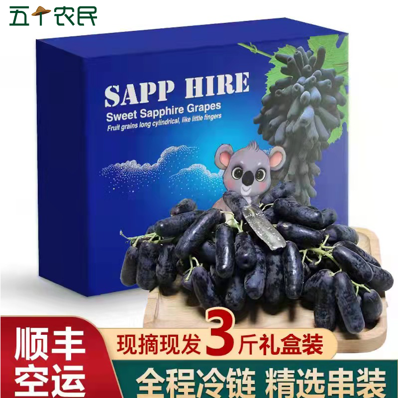 [五个农民]云南蓝宝石黑提子葡萄 金手指精美礼盒3斤新鲜水果顺丰空运