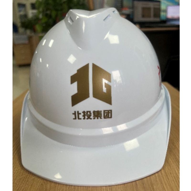 安全帽(进口ABS) 单位/顶