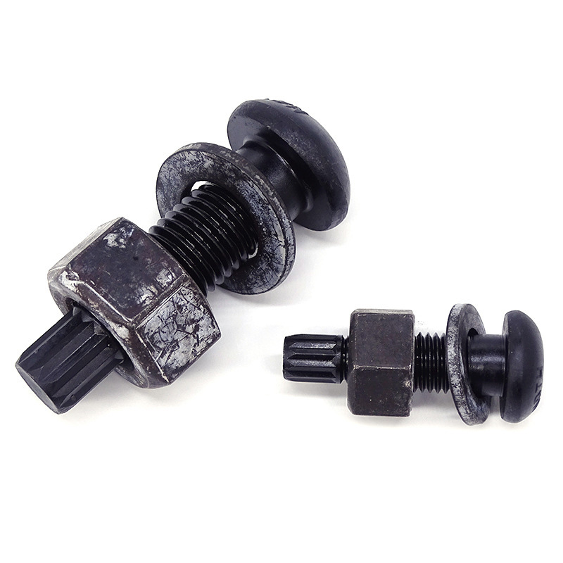 地造天成 QSLS1000 M20/70mm 螺栓（全丝）（计价单位：套）黑色高清大图