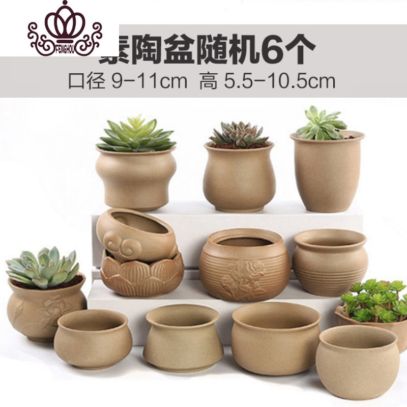 封后肉肉植物多肉陶瓷创意大小花盆简约粗陶盆器套装组合 素陶随机6个 中等