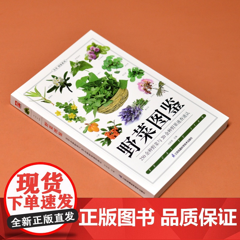 野菜图鉴 全新图解版高清大图