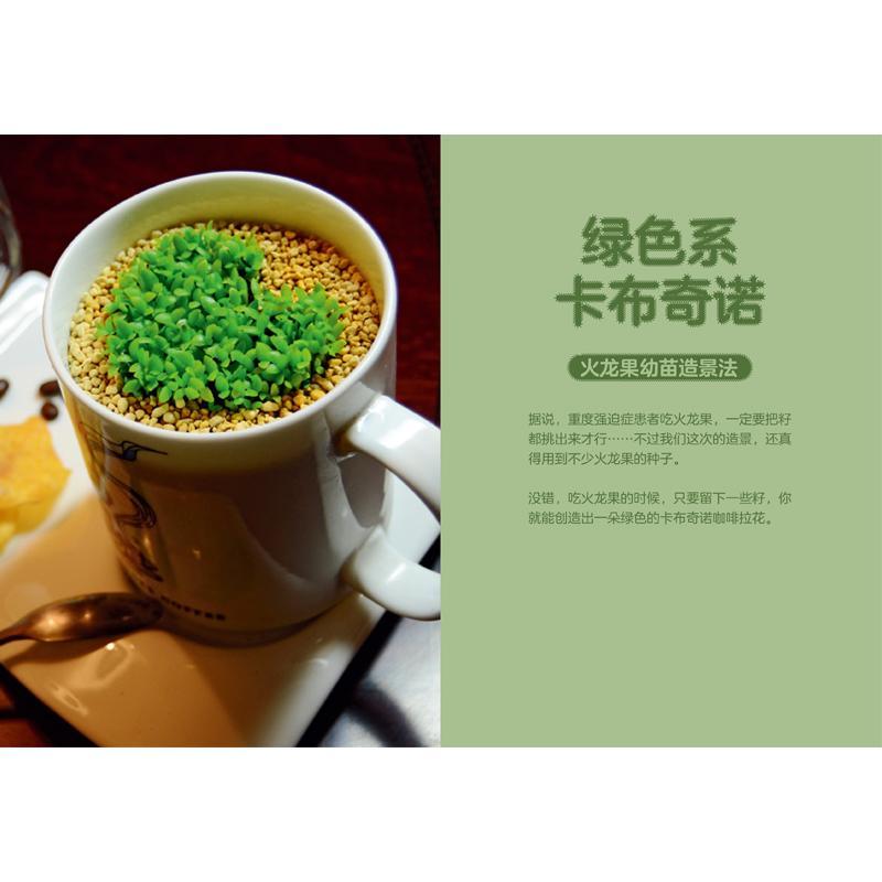 [醉染正版]掌中花园:无穷小亮的栽培心得与技巧 全新手绘版张辰亮花园观赏植物种植栽培技术园艺知识植物造景养花盆栽家庭园艺高清大图