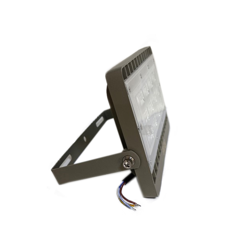 盛王盛荣 固定式LED投光灯高清大图