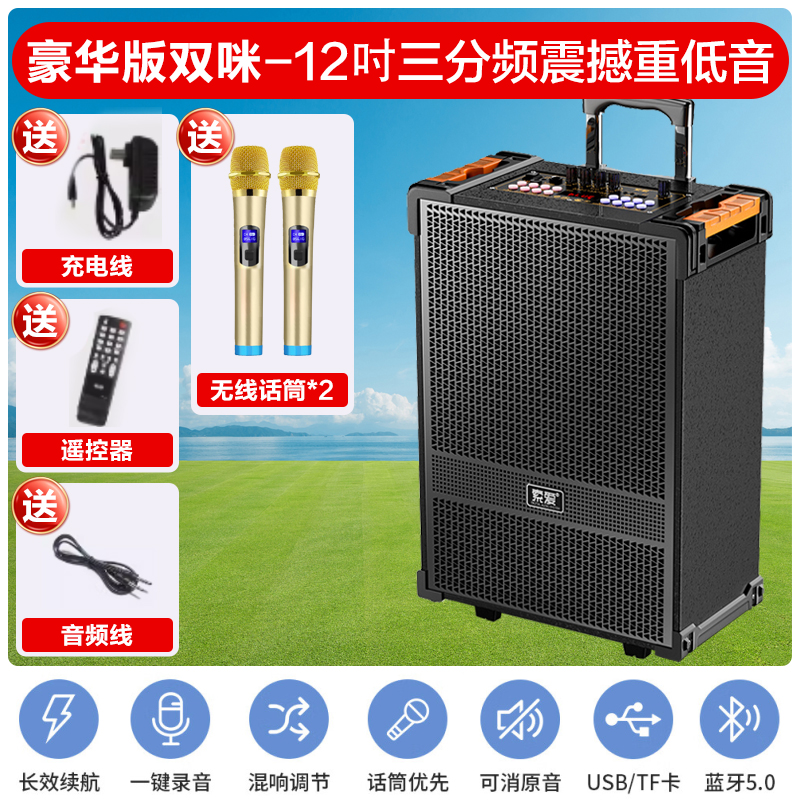 索爱(soaiy)SA-F29手提音响高低音户外k歌大音量广场舞电木吉他乐器音箱直播小型家用音箱 双麦