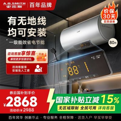 AO史密斯60升电热水器 无地线可安装 专利安全隔电 金圭内胆 速热节能 一键中温保温EVDS升级款80DX2