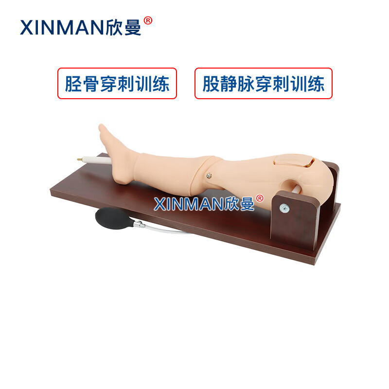 欣曼科教 胫骨穿刺训练模块 骨髓穿刺及股静脉模型 骨内灌注及股静脉穿刺腿部模型XM-GC1高清大图