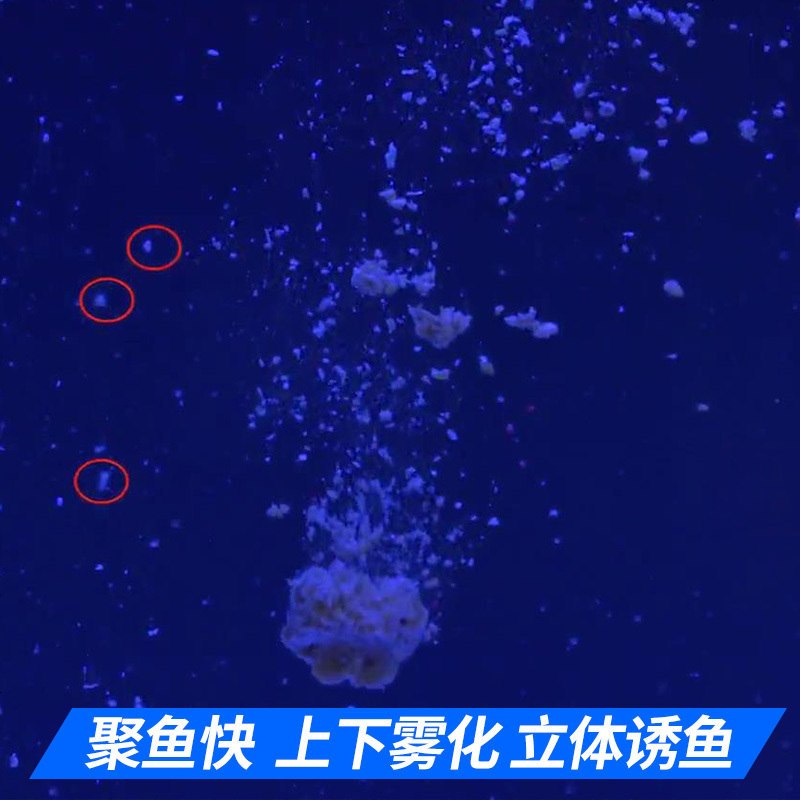 钓鱼王鱼饵饵料打窝料麝香底窝钓鱼小药渔具垂钓用品鱼食春季鱼饵
