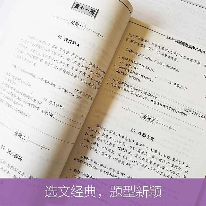 文言文阅读强化训练120篇 六年级小升初 小学语文文言文古诗文古
