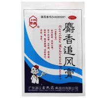 吉民 麝香追风膏 7cm*10cm 10片